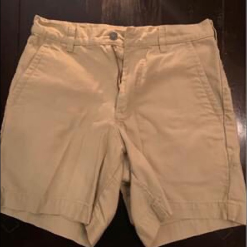 Patagonia Shorts